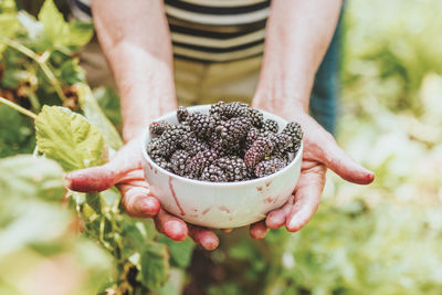 Outstanding in the Field: Tres Sabores and Garden Creek